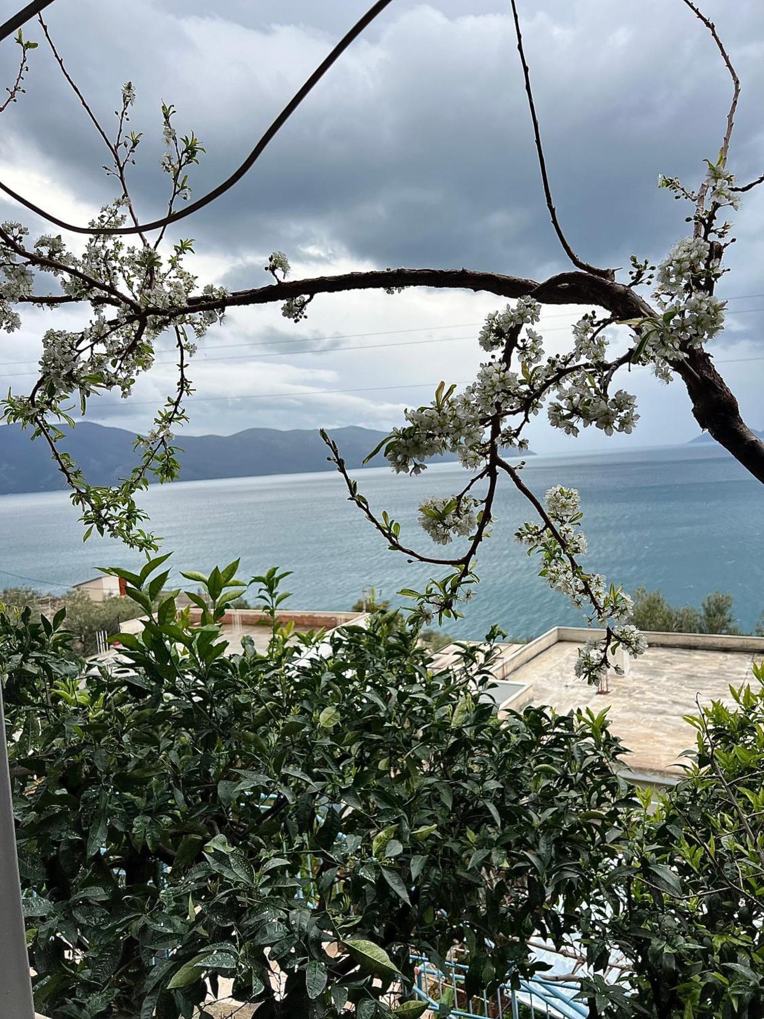 Appartamento Marisi House Vlorë Esterno foto